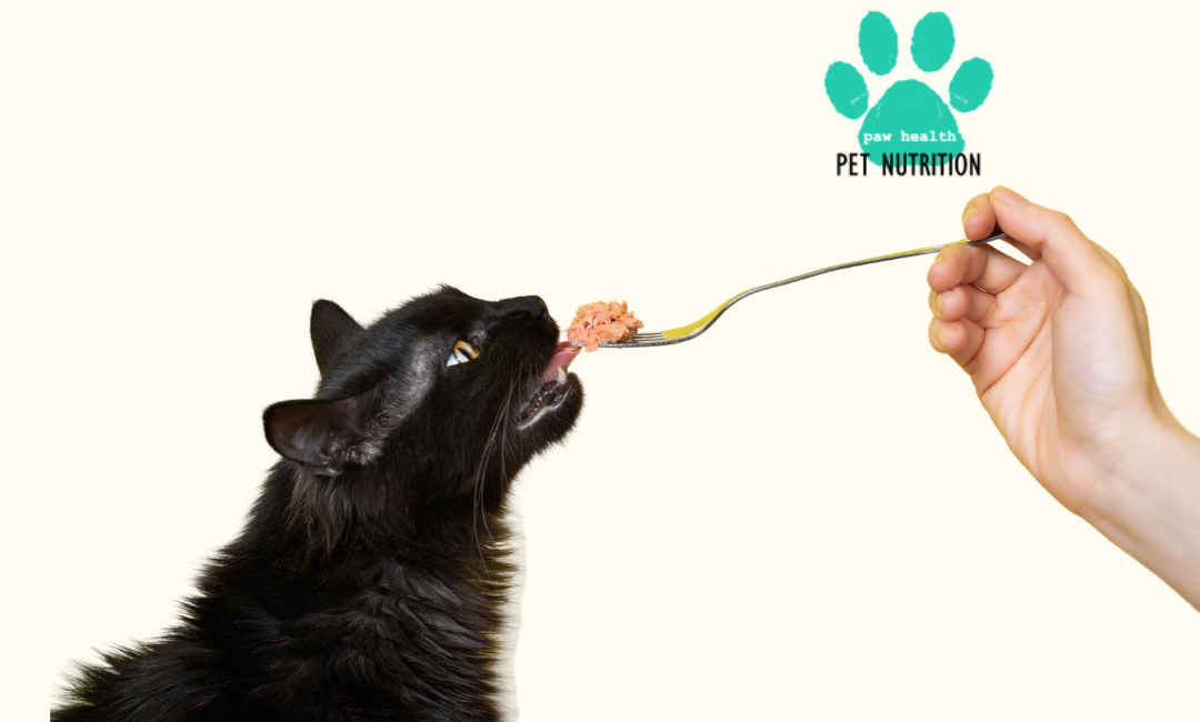 How to provide a balanced diet when feeding RAW